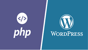 چرا با وجود wordpress باید PHP یاد بگیریم ؟